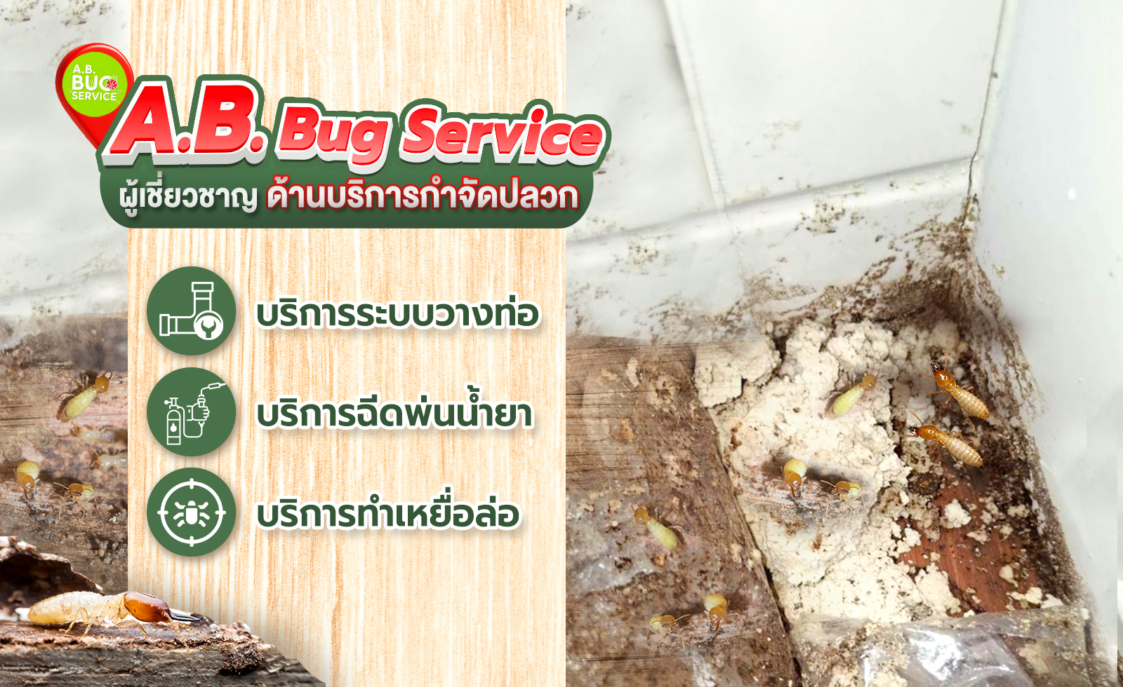 abbugservice.com